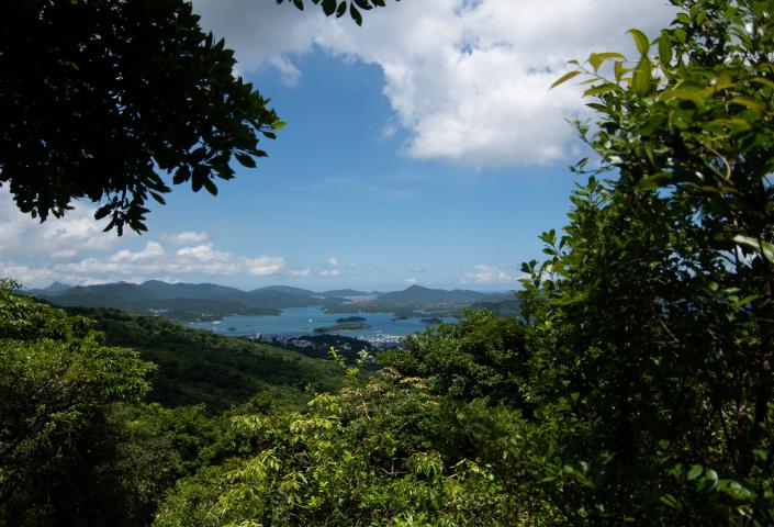 茅坪古道算是最多樹蔭的一條行山路線之一（圖片來源：漁農自然護理署）