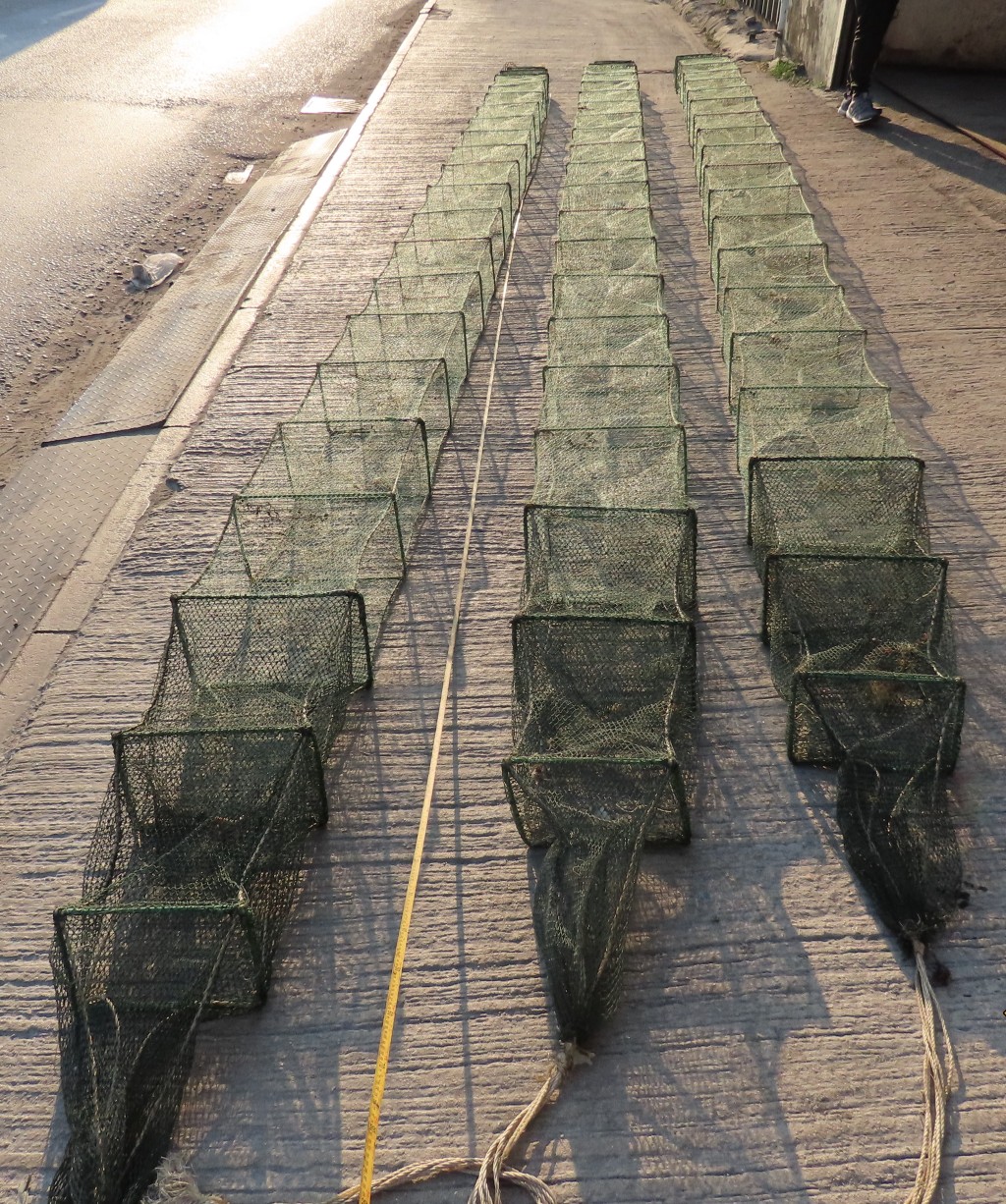 「蛇籠」是本港水域禁用的漁具。政府新聞處圖片
