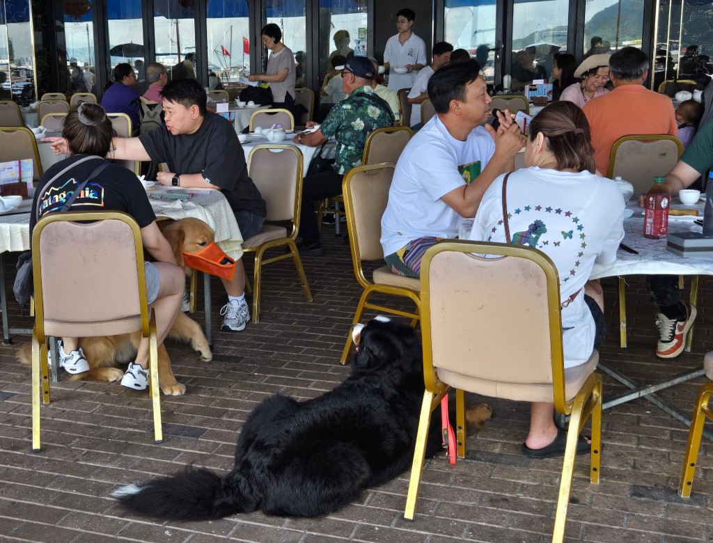 不少狗主都會帶同愛犬出外,及光顧食肆。資料圖片 不少狗主都會帶同愛犬出外,及光顧食肆。資料圖片
