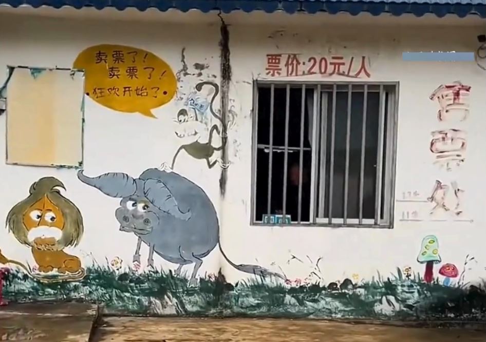 「最寒酸動物園」只有一條泥路通外界，網上爆紅後遊客不絕。抖音@小五動物園