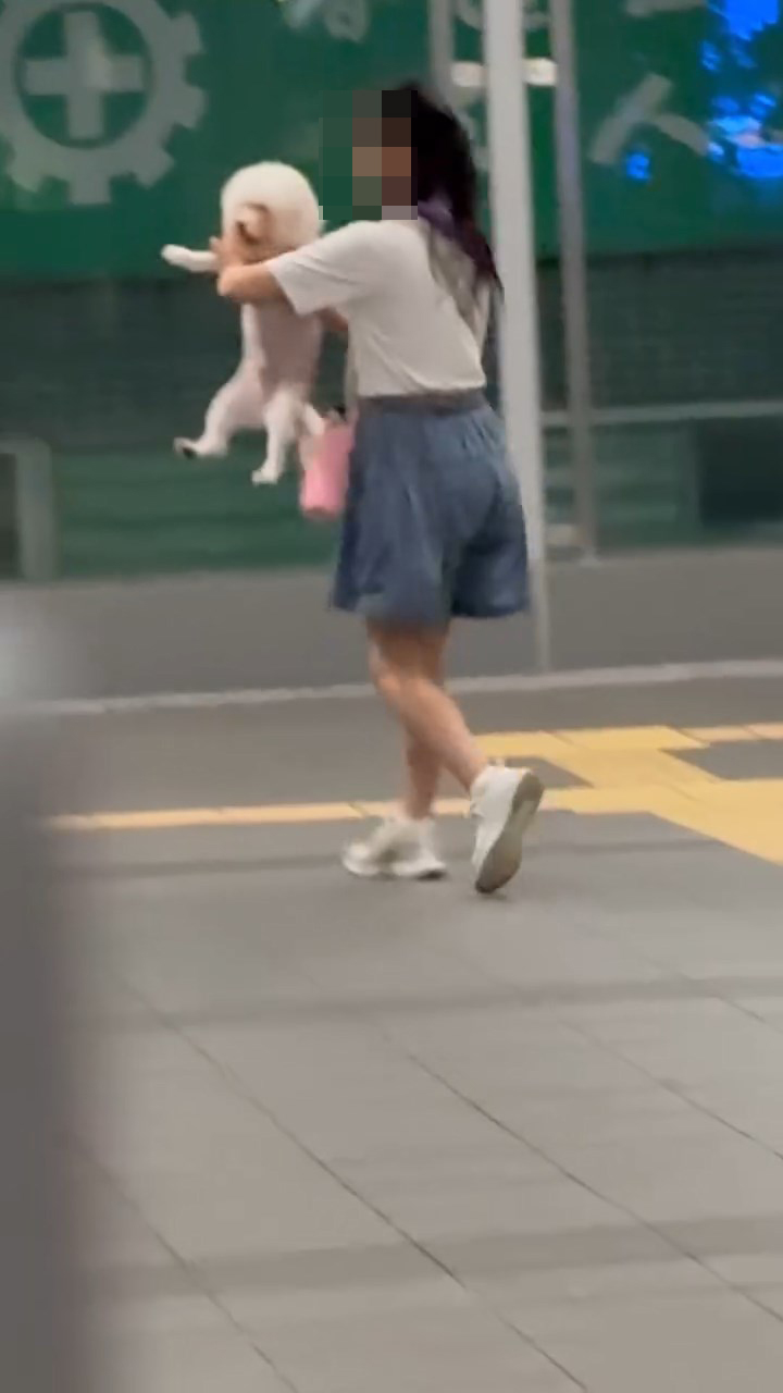 狗狗全程沒有吠叫。網上片段截圖