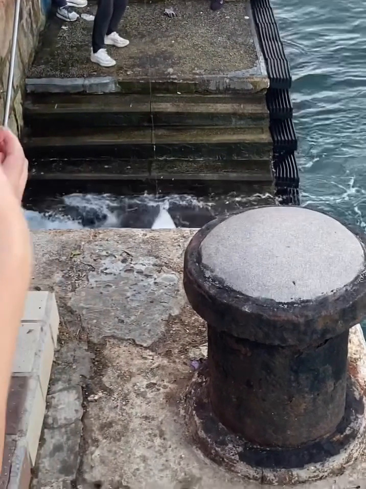 facebook截圖（資料來源：Ken Yu＠facebook筲箕灣西灣河關注組）