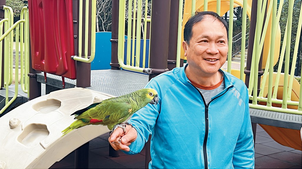 与鹦鹉「波波」重逢后，麦先生眉开眼笑。