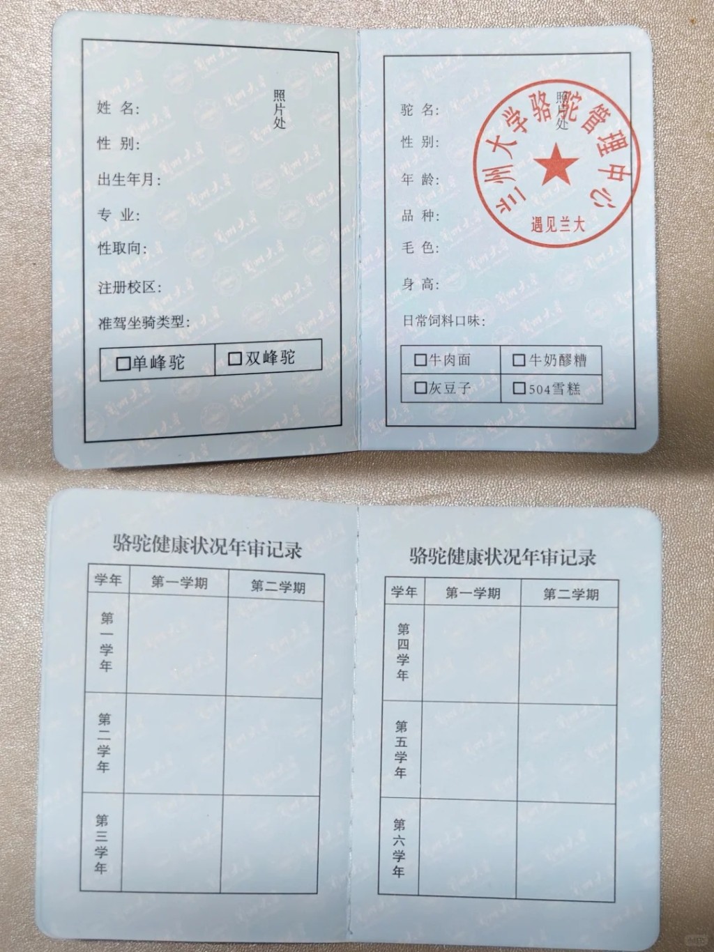 蘭州大學的駱駝駕駛證。小紅書@路小路的路 蘭州大學的駱駝駕駛證。小紅書@路小路的路