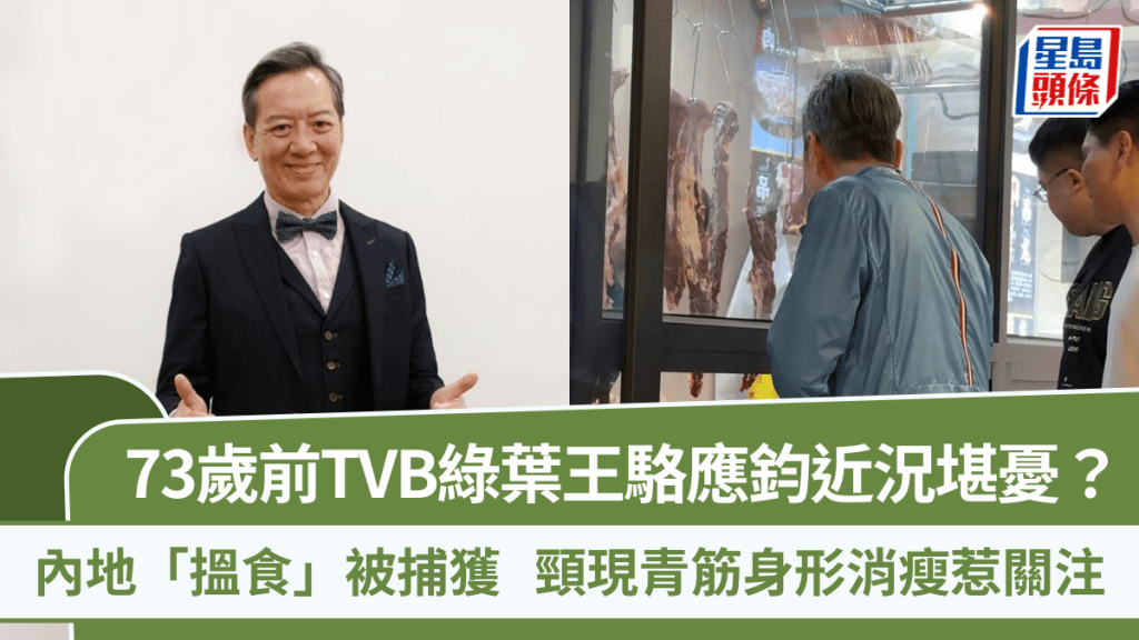 73歲前TVB綠葉王駱應鈞近況堪憂？內地「搵食」被捕獲   頸現青筋身形消瘦惹關注