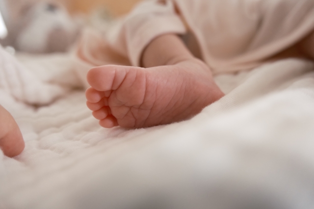 (圖片來源:PhotoAC) (圖片來源:PhotoAC)