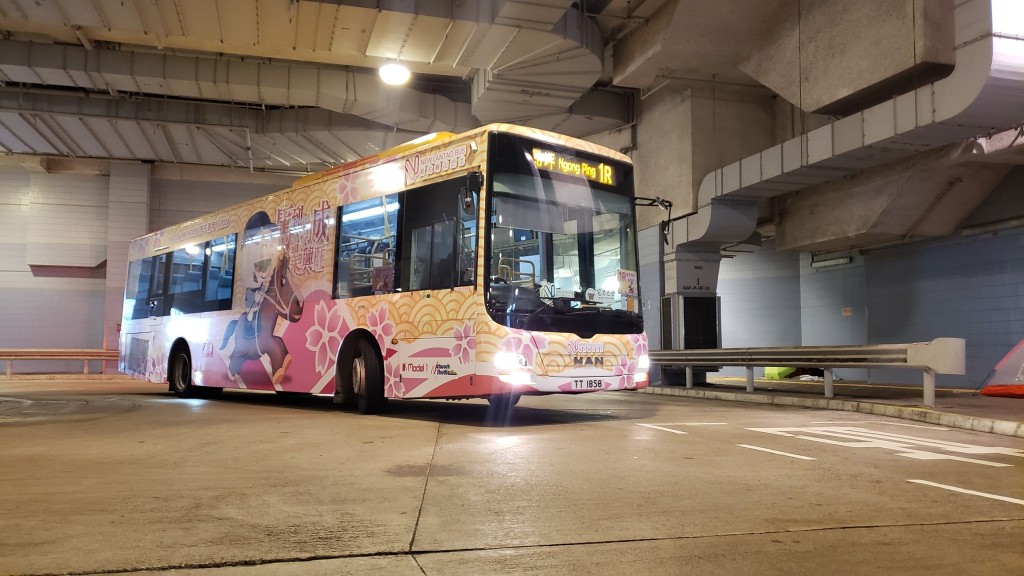 據了解，涉事巴士路線為1R號，往來紅磡（紅鸞道）往大嶼山昂坪寶蓮寺。網上圖片