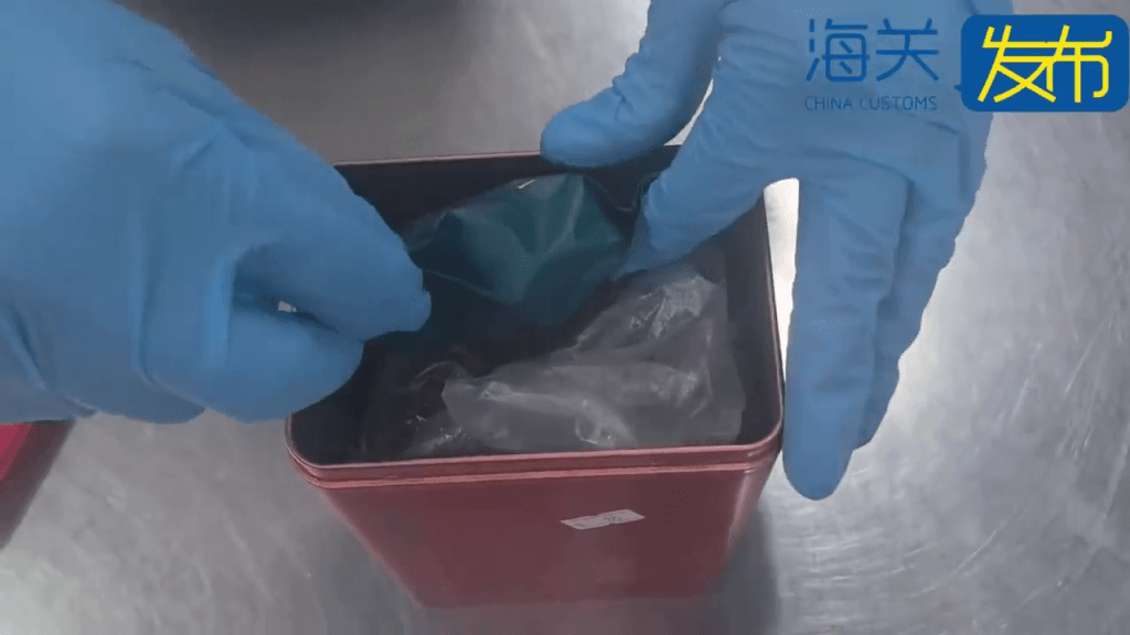西九高鐵入境內地，男子行李傳刺鼻異味，關員揭「大麻扮茶葉」。 海關發佈
