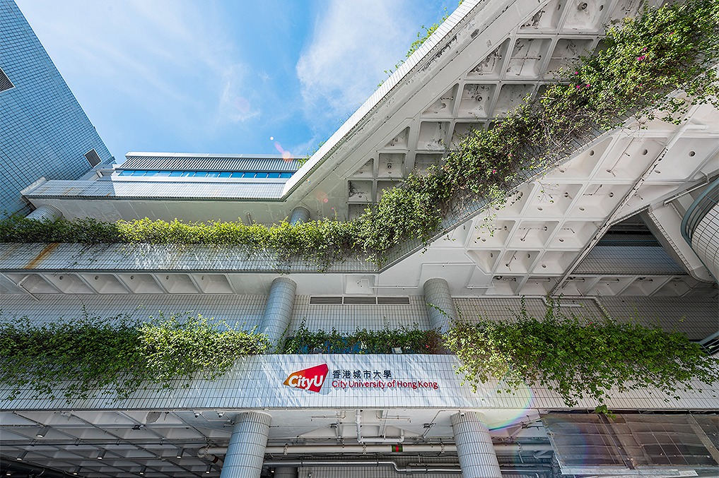 城大的2023/24年度年报在多项国际比赛中获奖 (图片来源：城大)