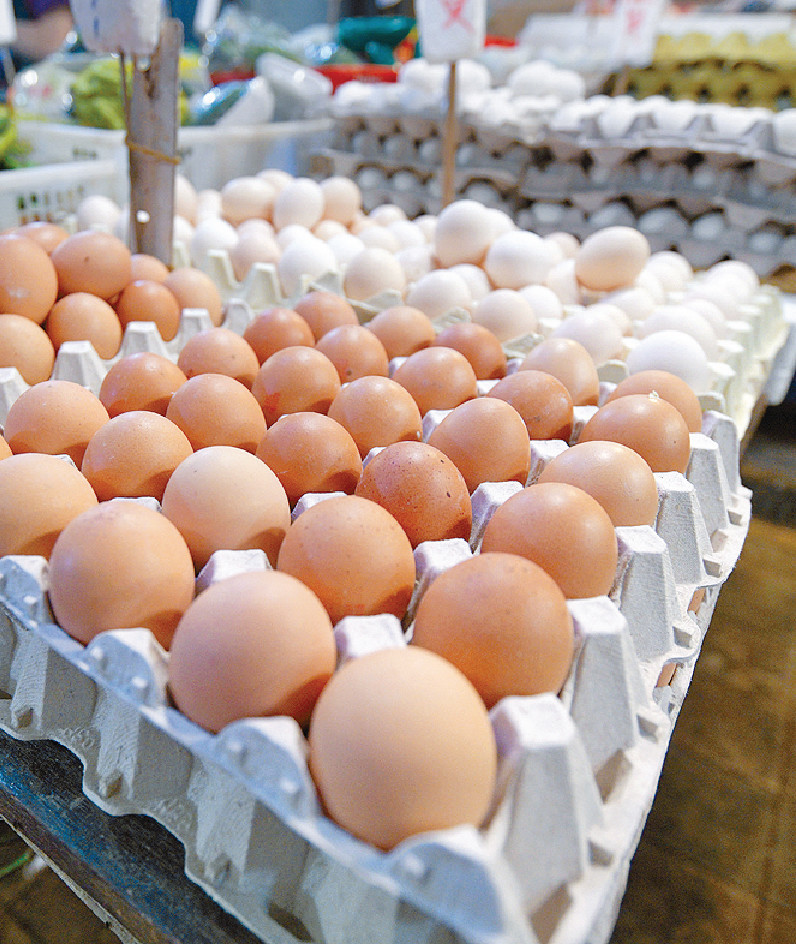 市民经常食用的鸡蛋，亦面临加价压力。