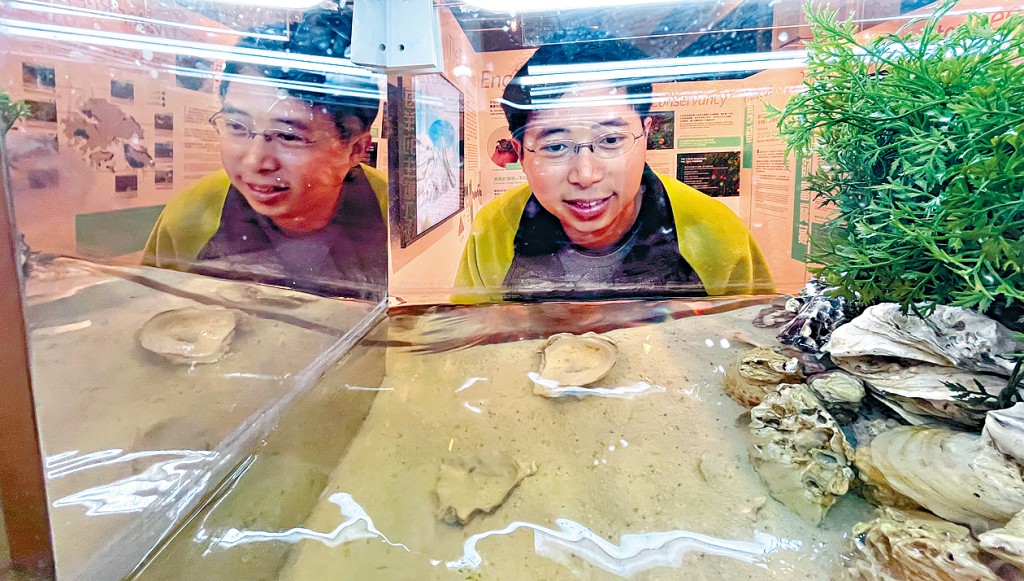梁沛健指蚝只栖息的红树林，可为陆地提供屏障，亟需保育。