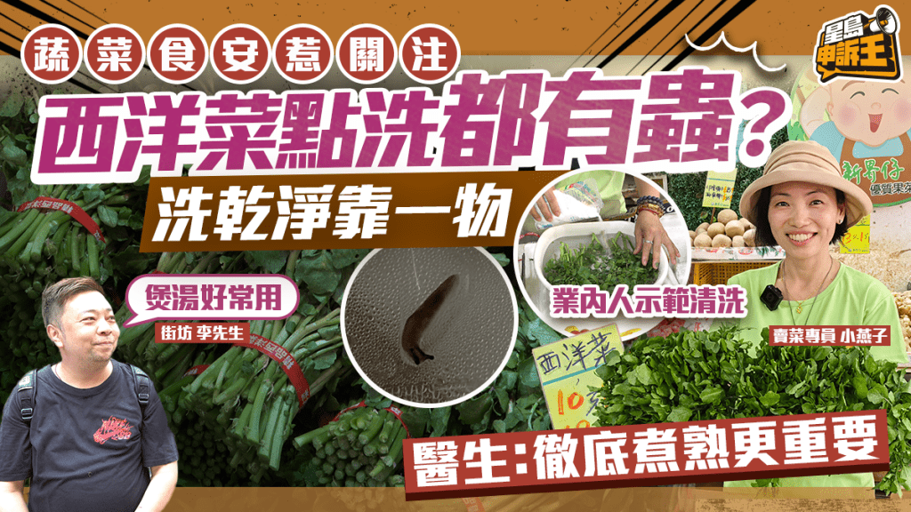 星島申訴王 | 蔬菜食安惹關注 西洋菜點洗都有蟲？ 洗乾淨靠一物