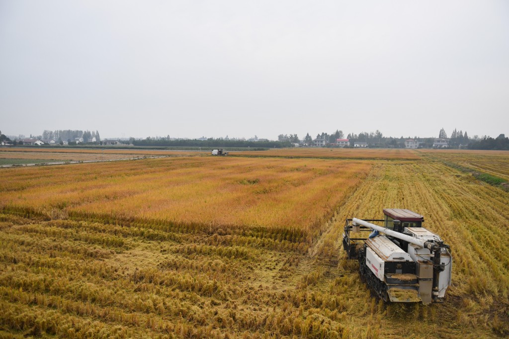 圖片來源：新華社