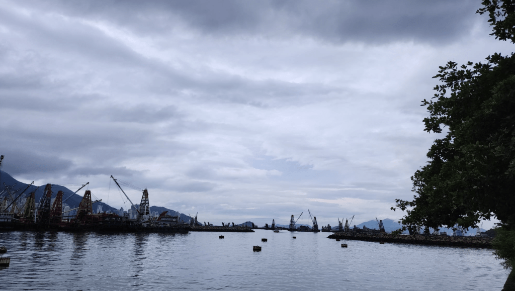 本港地區今日多雲，有驟雨及幾陣狂風雷暴，稍後雨勢較為頻密。黎志偉攝