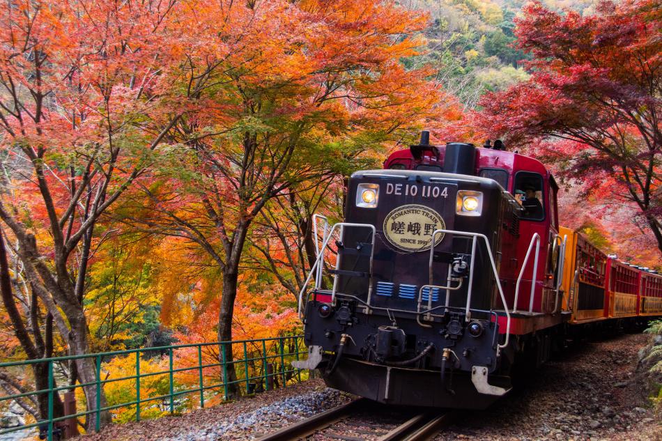 二十五分钟的嵯峨野小火车之旅，可赏尽岚山一带的红叶胜景。