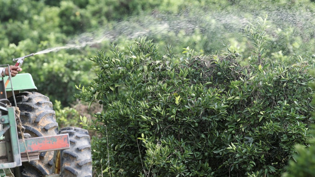  巴西果農向橙樹噴殺蟲劑。 路透社資料圖