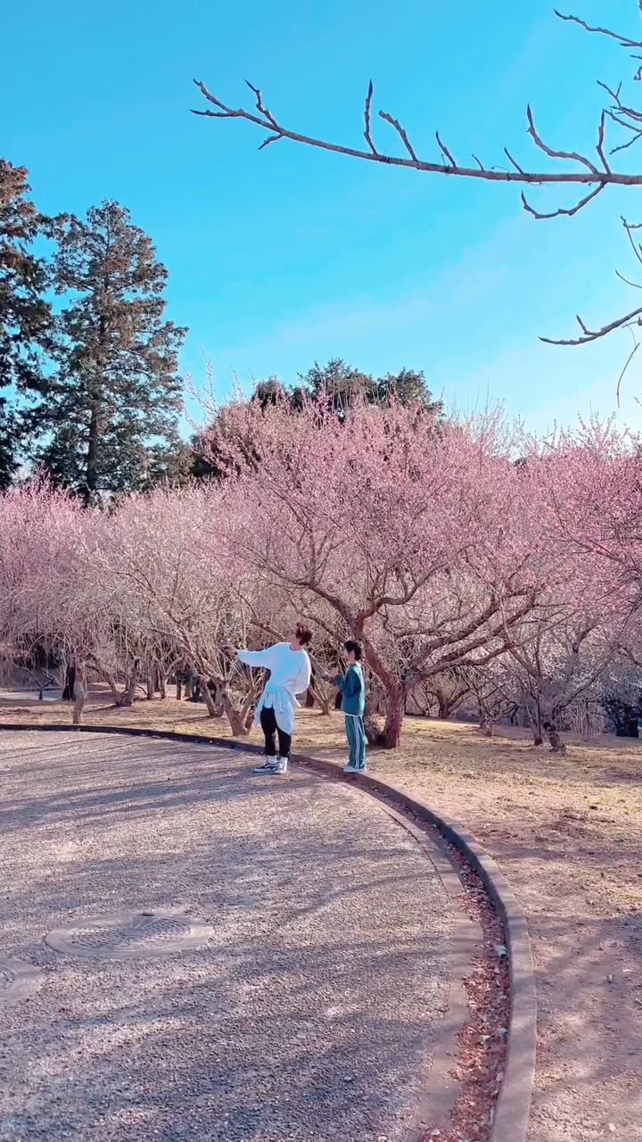 2月，少爺占與囝囝及太太去日本旅行。