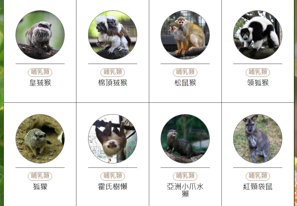 香港動植物公園動物圖鑑。「香港動植物公園」官方網站截圖 香港動植物公園動物圖鑑。「香港動植物公園」官方網站截圖