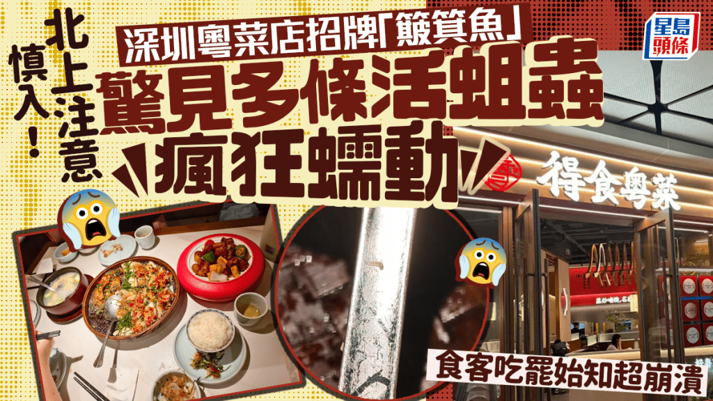北上注意︱深圳粵菜店簸箕魚冒出多條活蛆 食客吃完才見到超崩潰︱有片