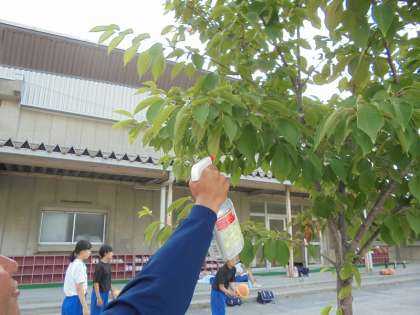 日本一間中學使用殺蟲劑驅蟲。(示意圖) www.kasugai.ed.jp 日本一間中學使用殺蟲劑驅蟲。(示意圖) www.kasugai.ed.jp