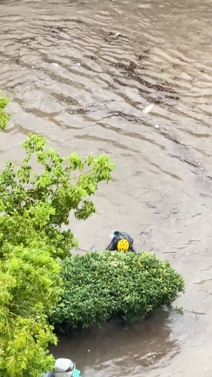 小周無助地在積水中找手機引起網民關注。