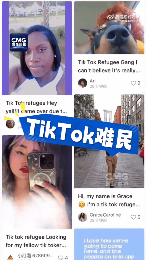 「TikTok難民」指，他們不相信美國政府。（《國際時訊》）