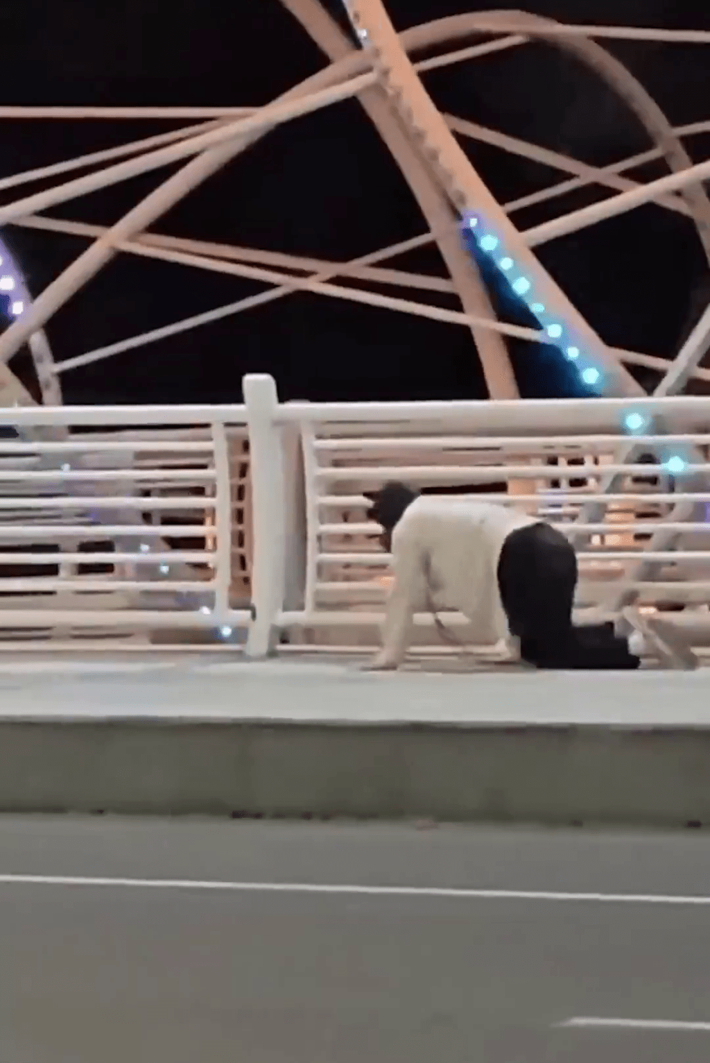 鄭州男子在橋上跪地爬行被目擊者拍下。 網片截圖