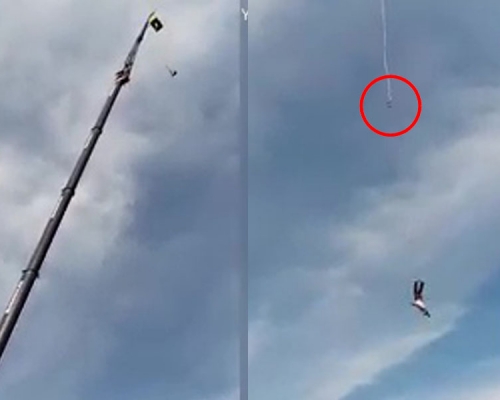波蘭男子玩笨豬跳,繩索在半空突然斷掉,男子墮氣墊幸保一命。(網圖)