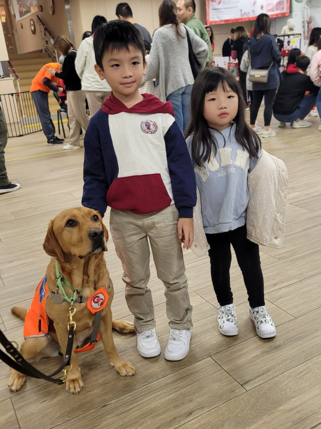 （圖片來源：香港導盲犬協會）