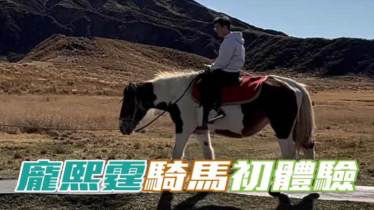 庞熙霆目前正在日本，首次策骑马匹踱步。