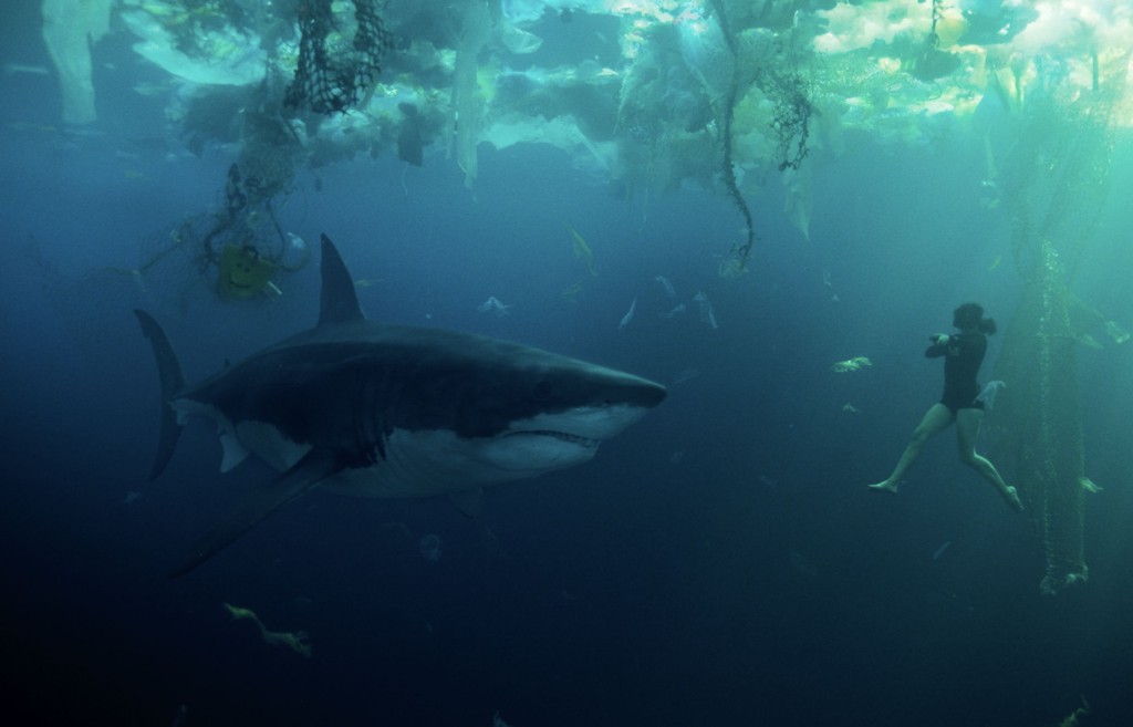 在太平洋垃圾帶附近，海洋研究員Sophia跟一條尖吻鯖鯊莉莉絲相遇。