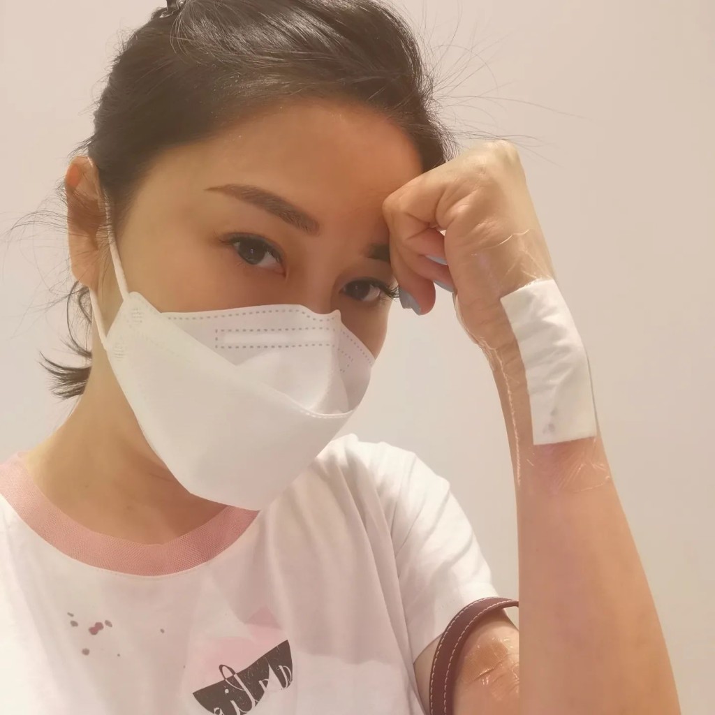 黎淑贤被爱猫抓伤要入院处理伤口。