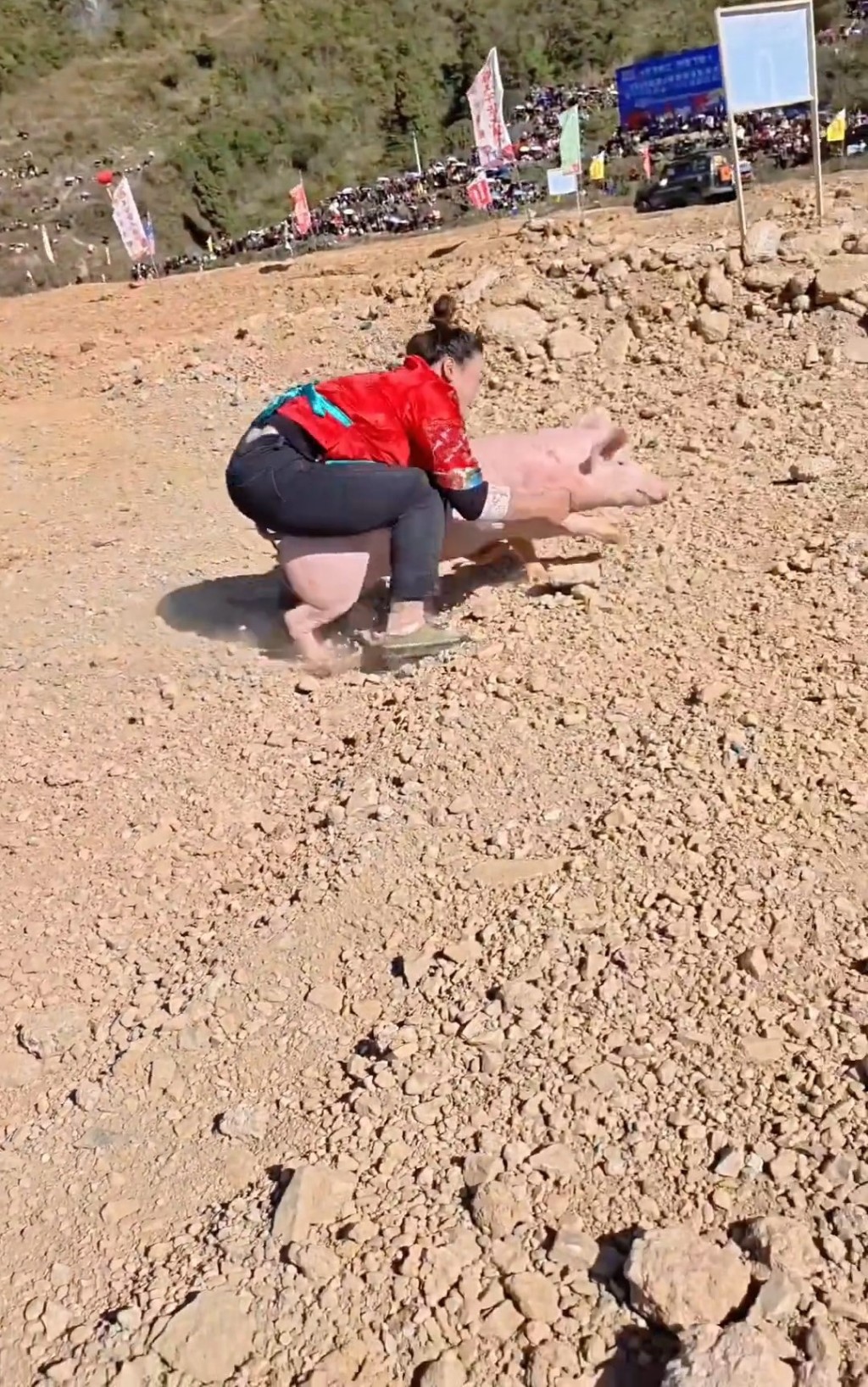 文鳳琴因頻頻抓豬成功而成為網紅。微博@《中國婦女報》 文鳳琴因頻頻抓豬成功而成為網紅。微博@《中國婦女報》