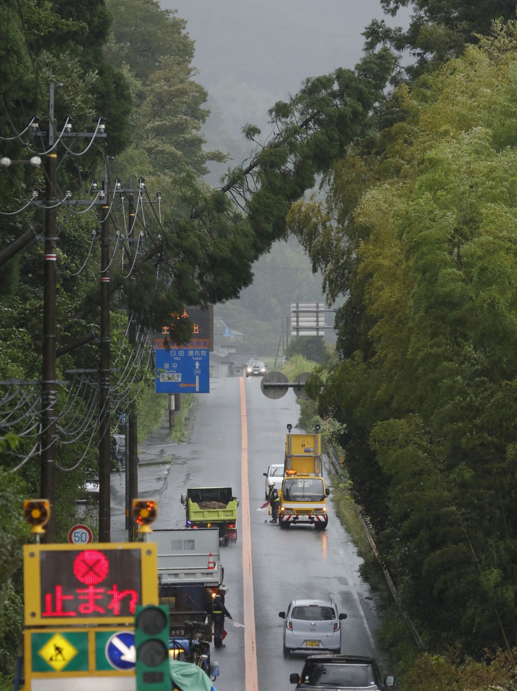 大分县由布市的树木倾斜在道路上。路透社