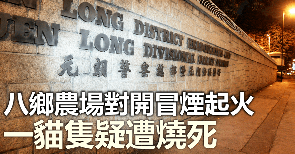 案件交由屯門警區刑事調查隊跟進。資料圖片