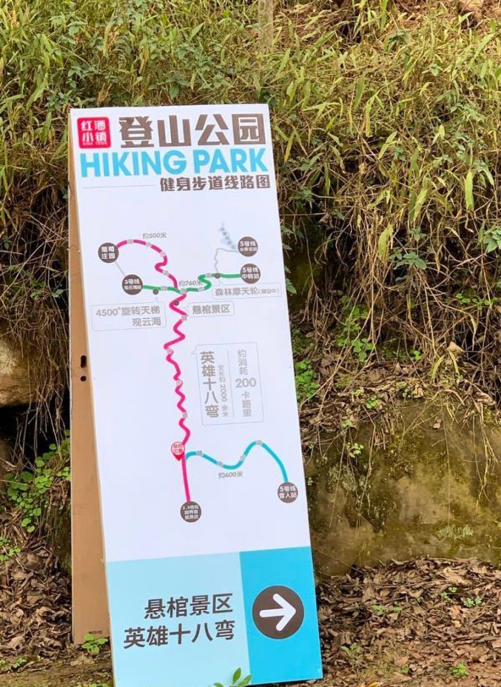 「懸棺景區」是去年11月初建成。網圖