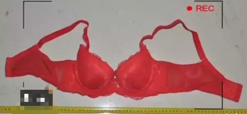 案发现场地上散落被撕破的女性内衣。