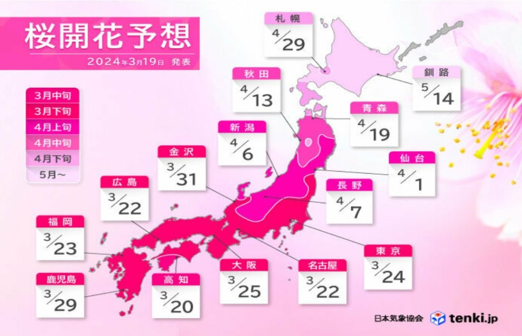 日本最新樱花开花期。（tenki.jp）