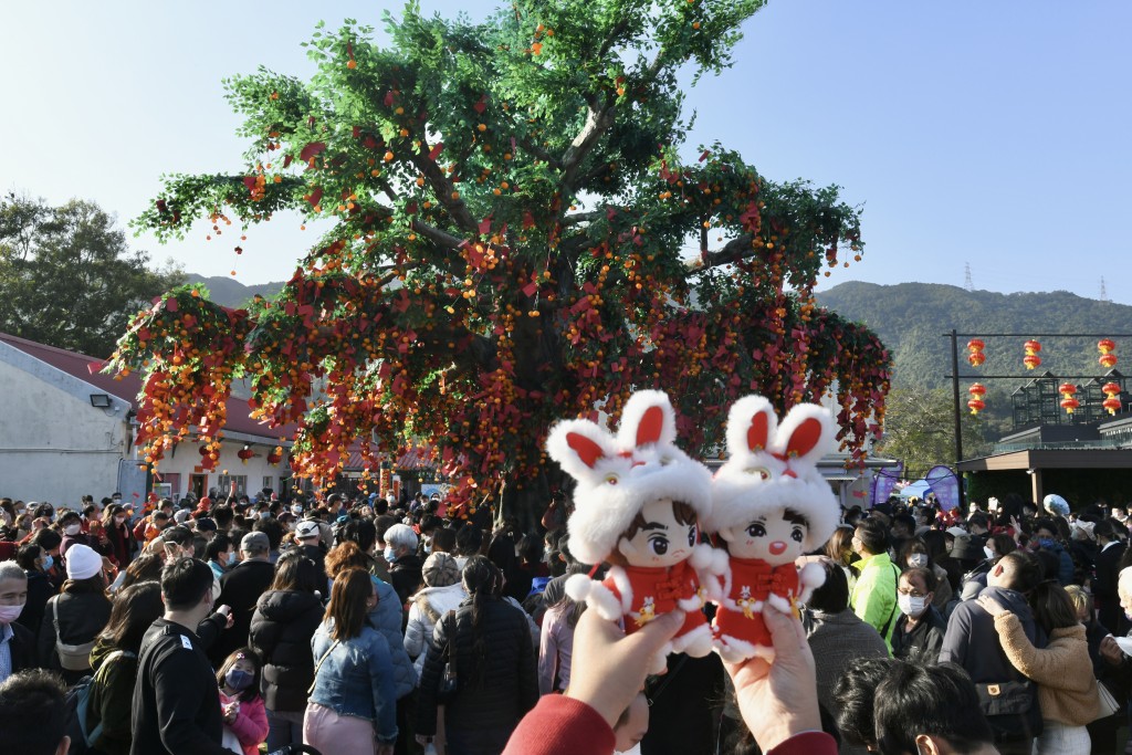 市民新年到林村许愿树抛宝碟许愿。资料图片