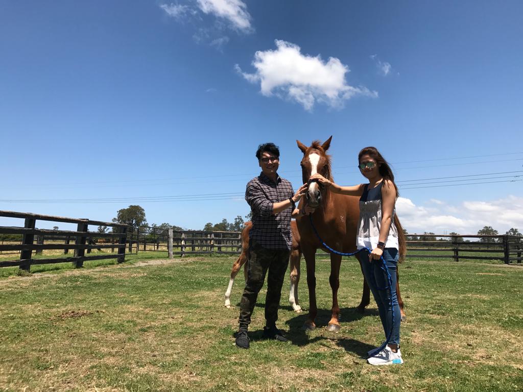 蕭劍新與蕭楊顯婷也是愛馬之人。