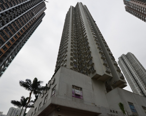 盈豐園中層戶以466萬沽