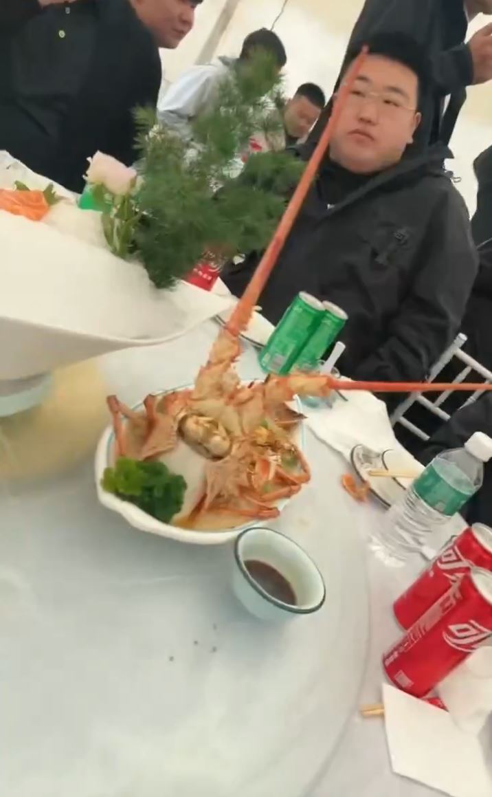 「英雄飯」上有大龍蝦。抖音