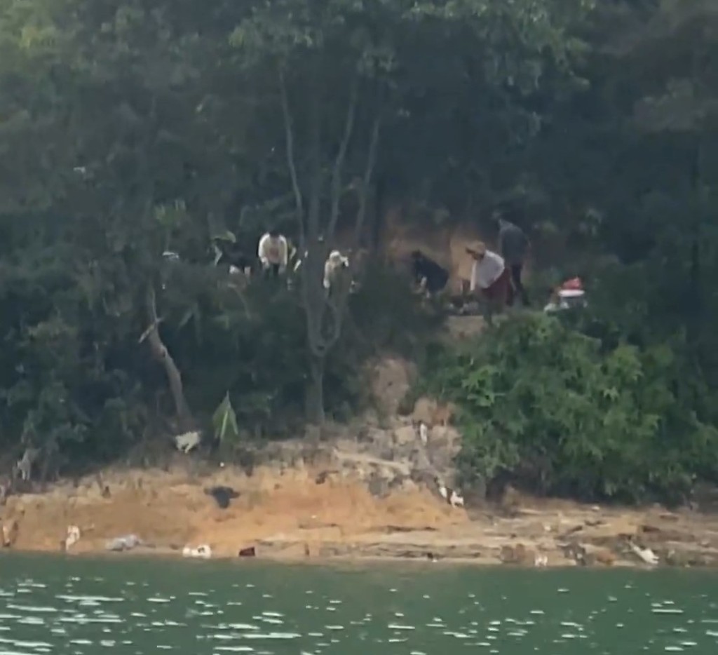 有貓隻跳落水。微博@韓路