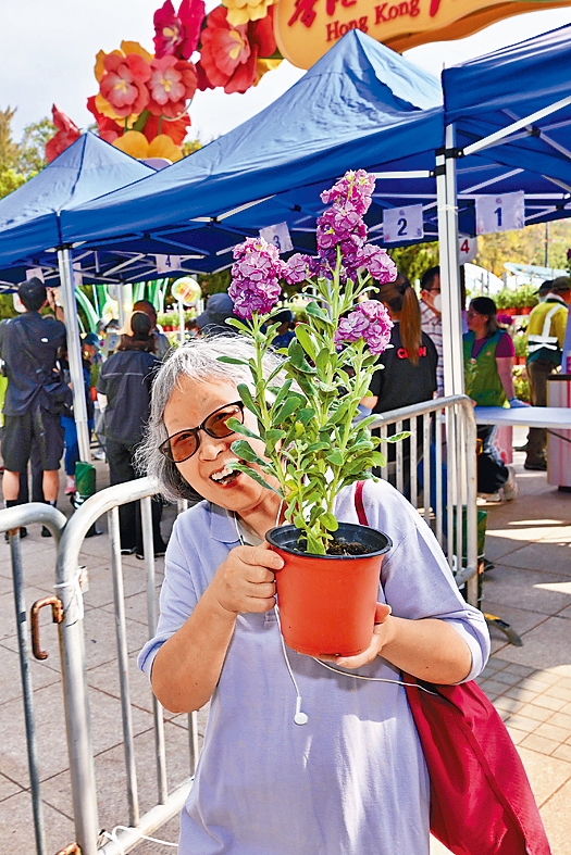 大會派發約3500盆花卉予市民。