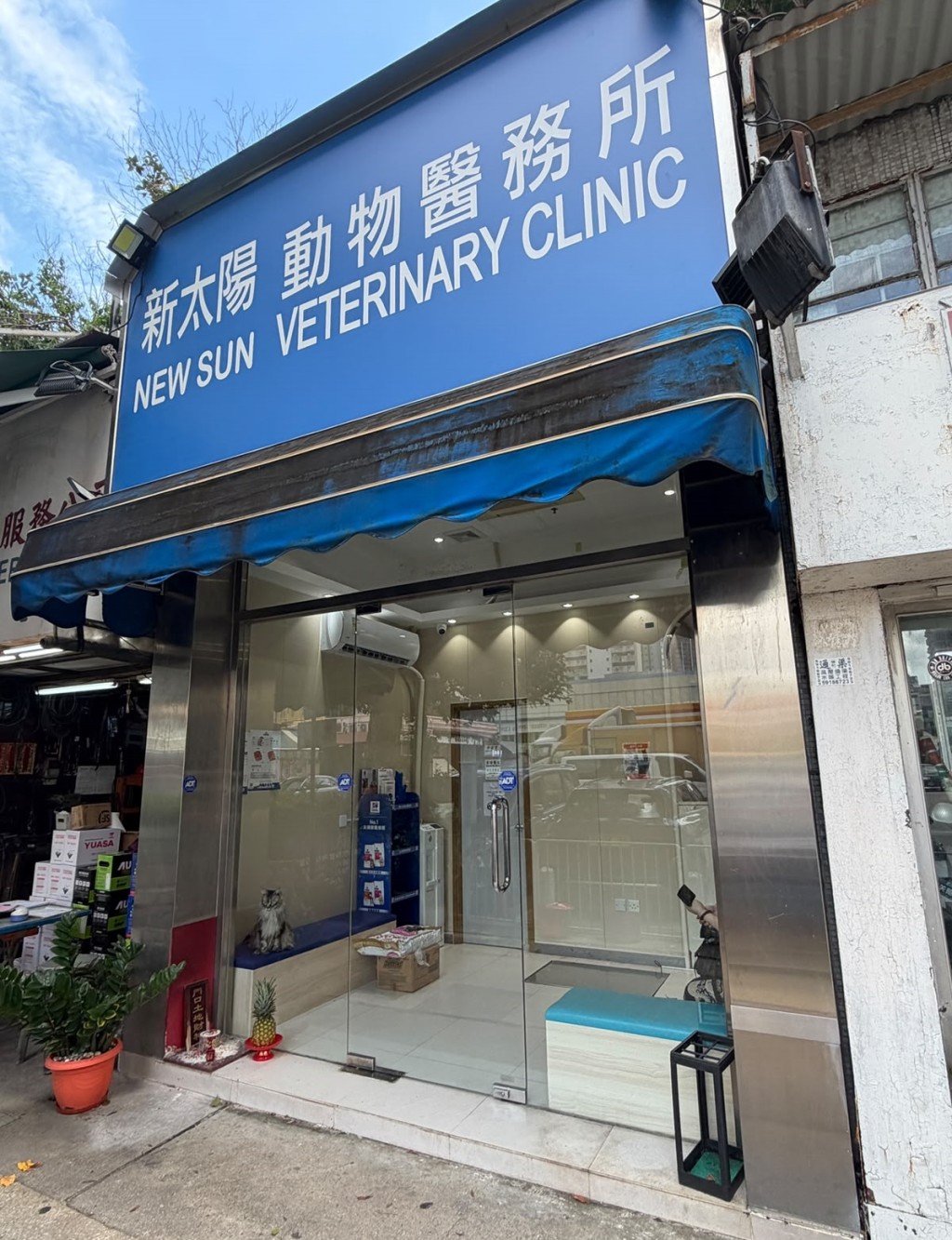 其中一隻貴婦狗由主人送到獸醫診所,但終告不治。 其中一隻貴婦狗由主人送到獸醫診所,但終告不治。