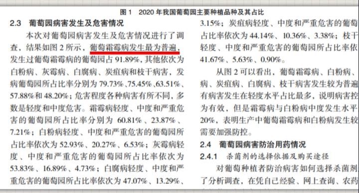 報道中引用「2020年我國葡萄園主要種植品種及其佔比」，報告指出發生過葡萄霜霉病的葡萄園佔91.89%（圖片來源：中國食品報融媒體報道截圖）