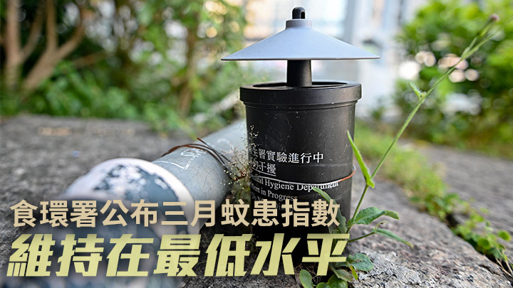 食環署指3月份本港的白紋伊蚊誘蚊產卵指數維持在最低水平。資料圖片