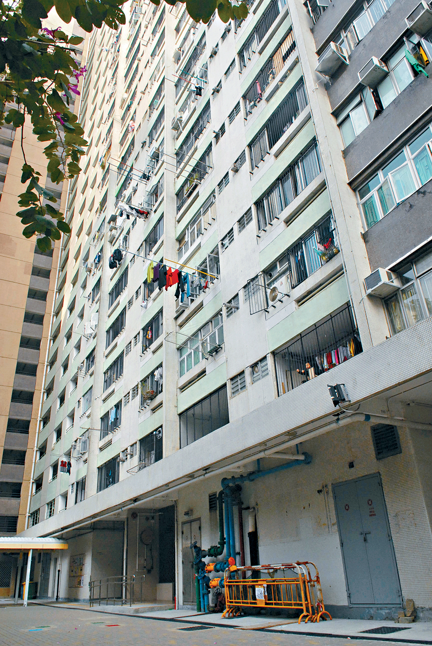 本屆政府銳意打擊濫用公屋。