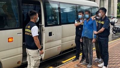 懷疑非法勞工在行動中被捕。政府新聞處