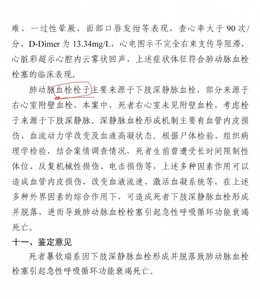 最高檢司法鑒定中心的鑒定意見（部分）。